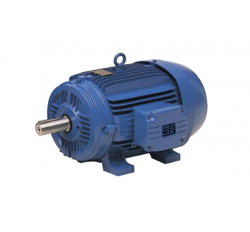 EExnA Explosion-proof Motor