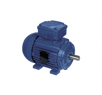 W21 Series Explosion-proof Motor