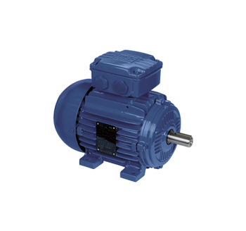 W21 Series Explosion-proof Motor